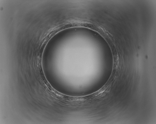 X0000055991157200509021631