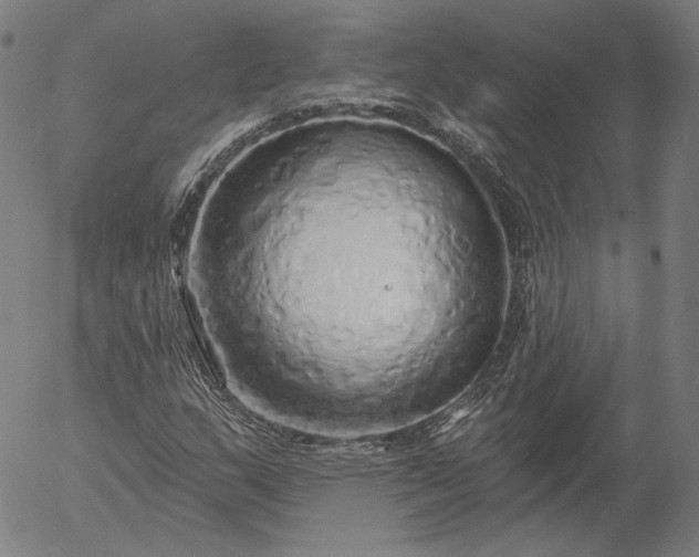 X0000055991159200509021631