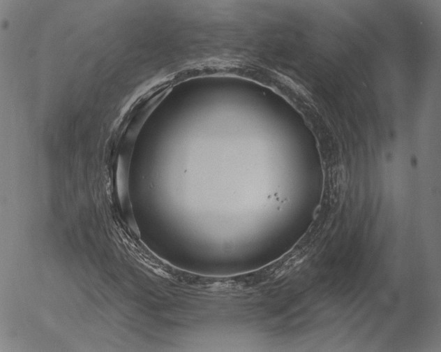 X0000055991160200509021631