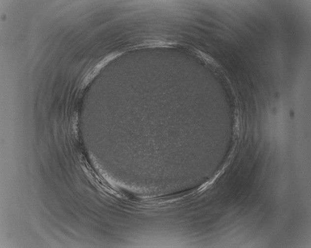 X0000055991161200509021631