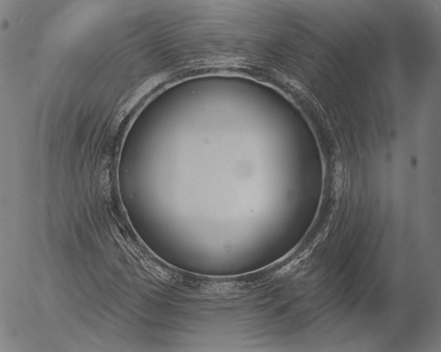 X0000055991162200509021631