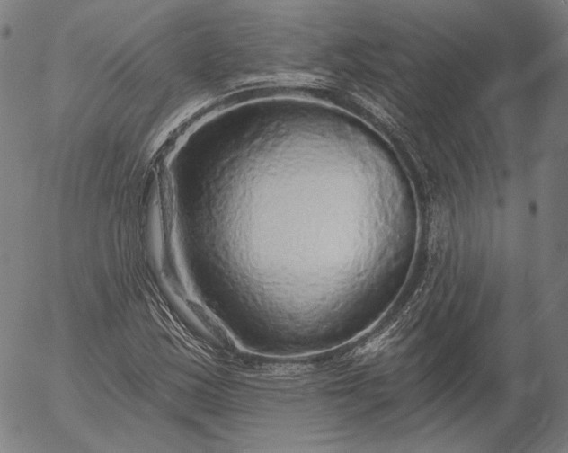 X0000055991163200509021631