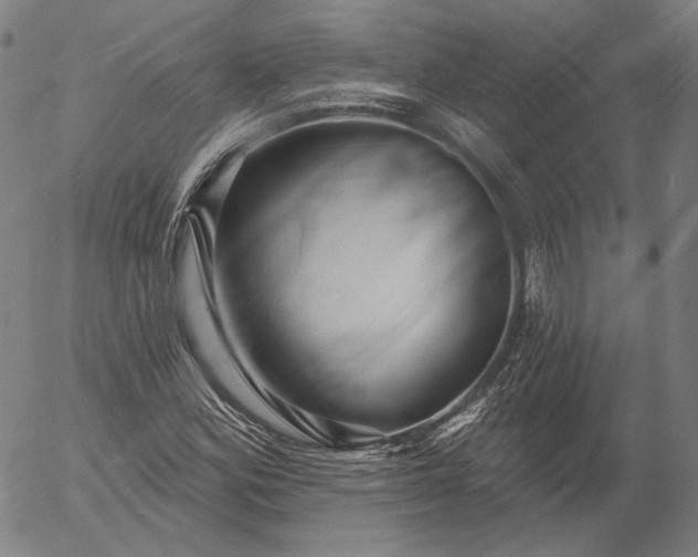 X0000055991164200509021631