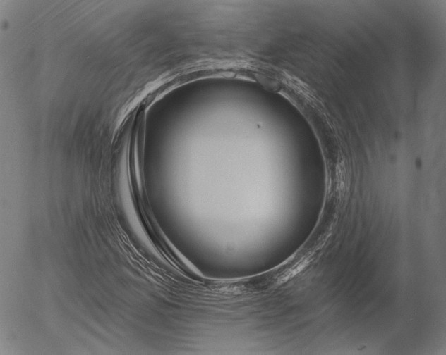 X0000055991165200509021631