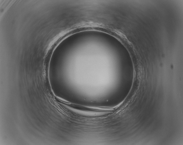 X0000055991167200509021631