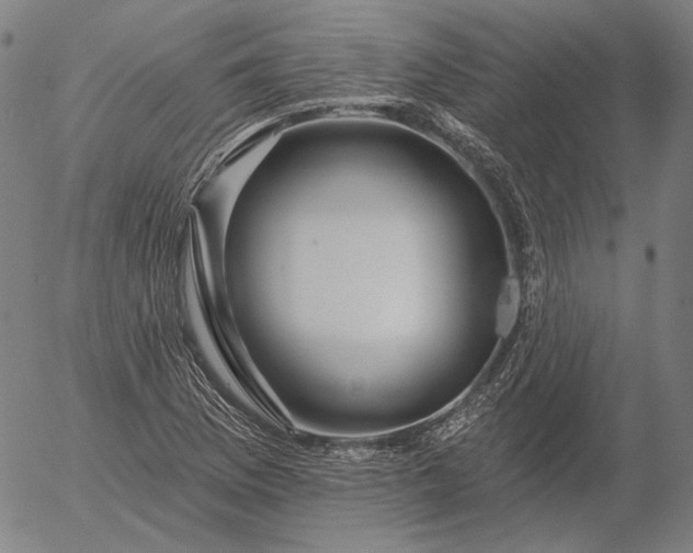 X0000055991169200509021631