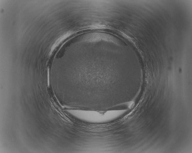 X0000055991171200509021631