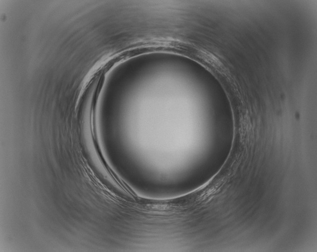 X0000055991172200509021631