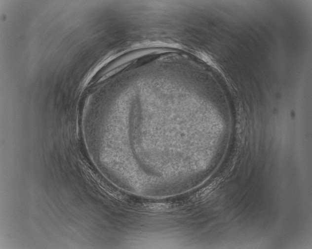 X0000055991173200509021630