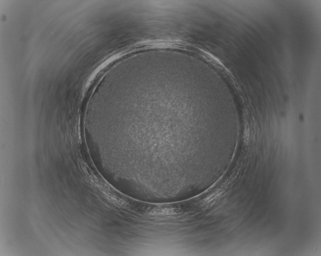 X0000055991174200509021630