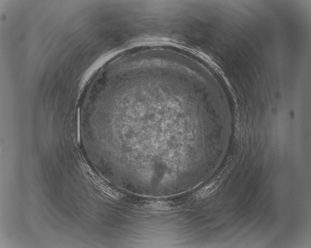 X0000055991175200509021630