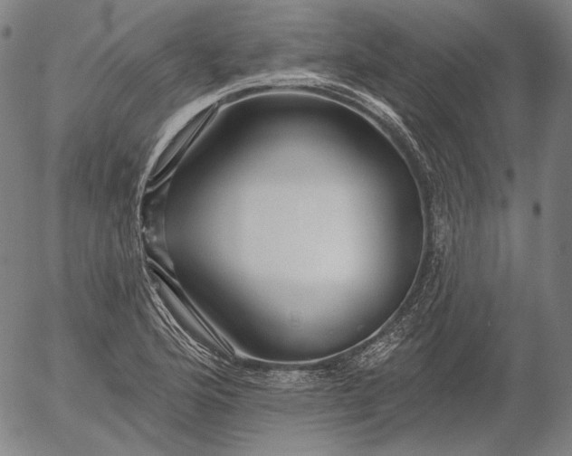 X0000055991176200509021630