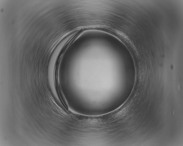 X0000055991177200509021630