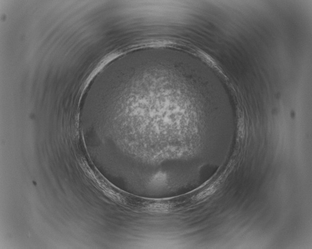 X0000055991178200509021630