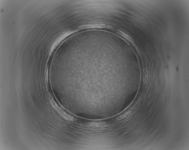 X0000055991179200509021630