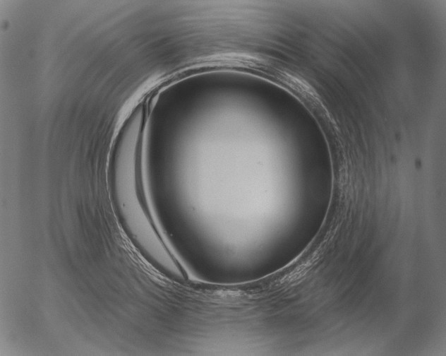 X0000055991180200509021630