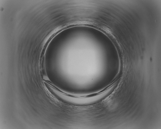 X0000055991181200509021630