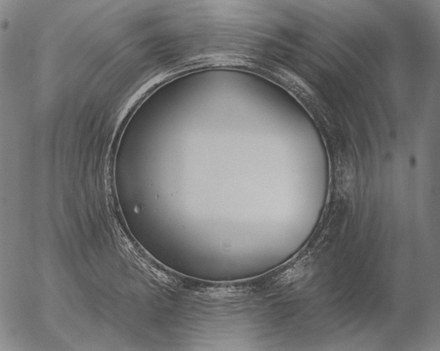 X0000055991182200509021630