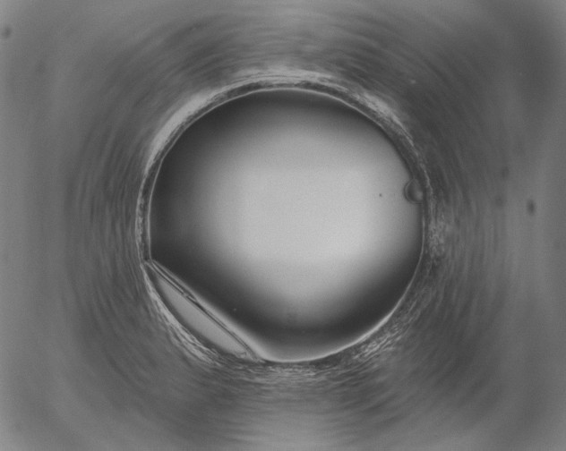 X0000055991183200509021630