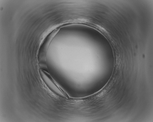 X0000055991184200509021630