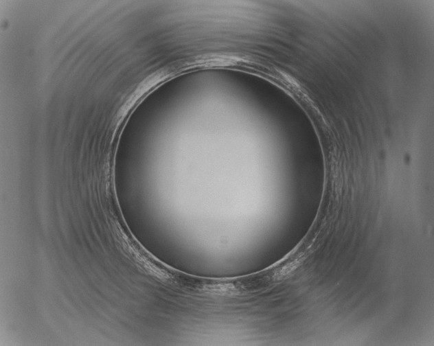 X0000055991186200509021630