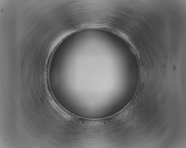 X0000055991187200509021630