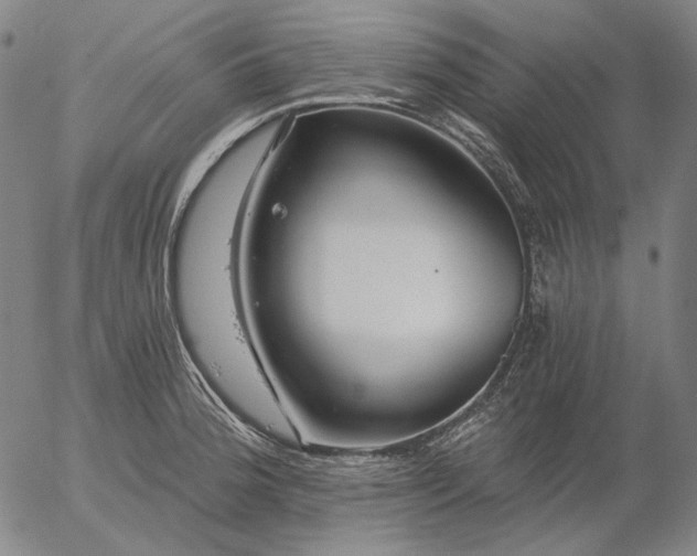 X0000055991188200509021630