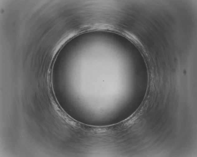 X0000055991190200509021630