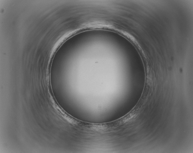 X0000055991191200509021630