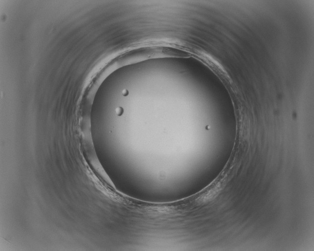 X0000055991192200509021630