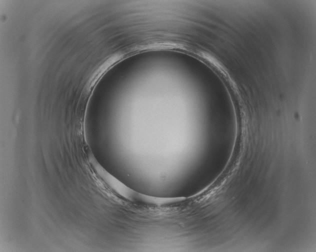 X0000055991193200509021630