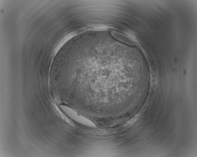 X0000055991194200509021630