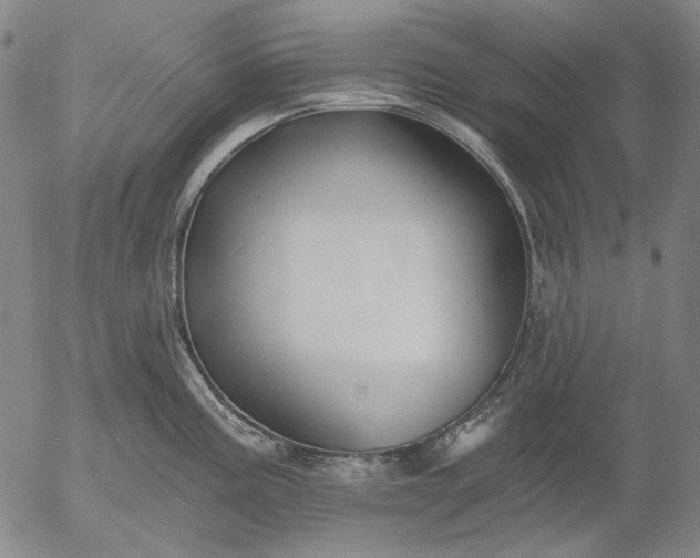 X0000055991195200509021630