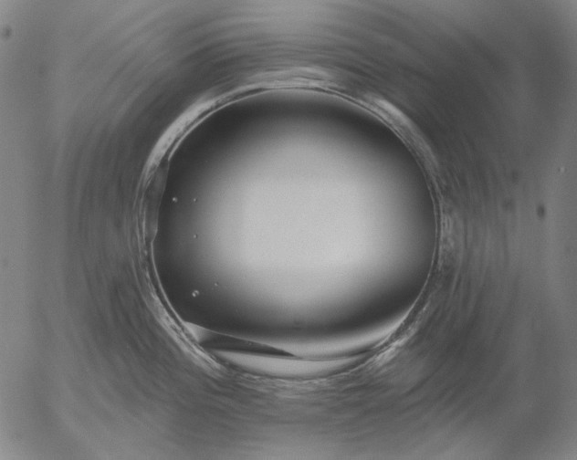 X0000055991196200509021630