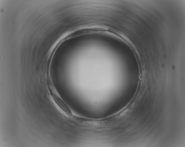 X0000055991197200509021630