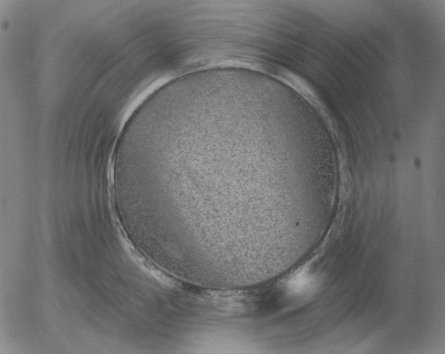 X0000055991198200509021630