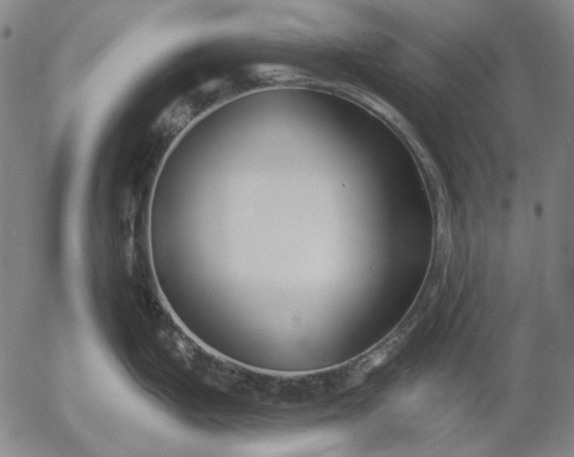 X0000055991199200509021630