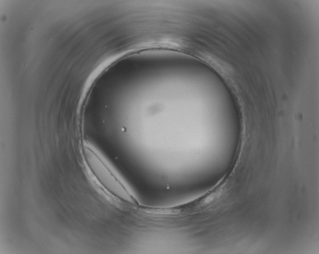 X0000055991200200509021630