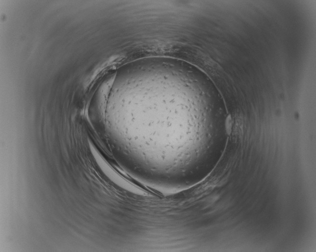 X0000055991202200509021629