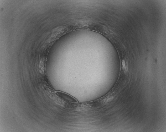 X0000055991203200509021629