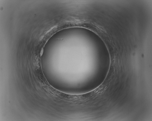 X0000055991205200509021629