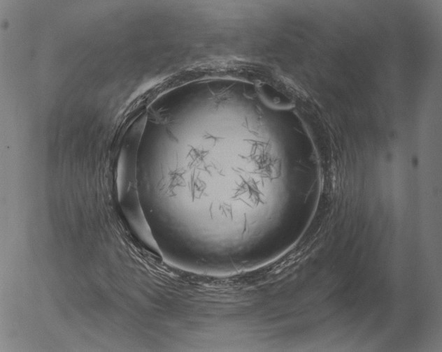 X0000055991206200509021629