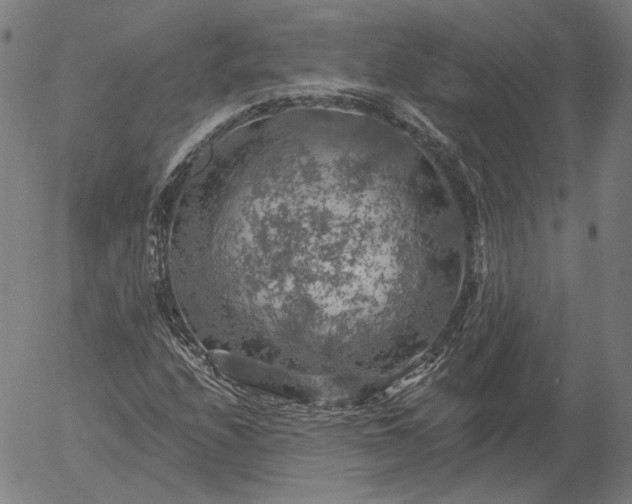 X0000055991208200509021629