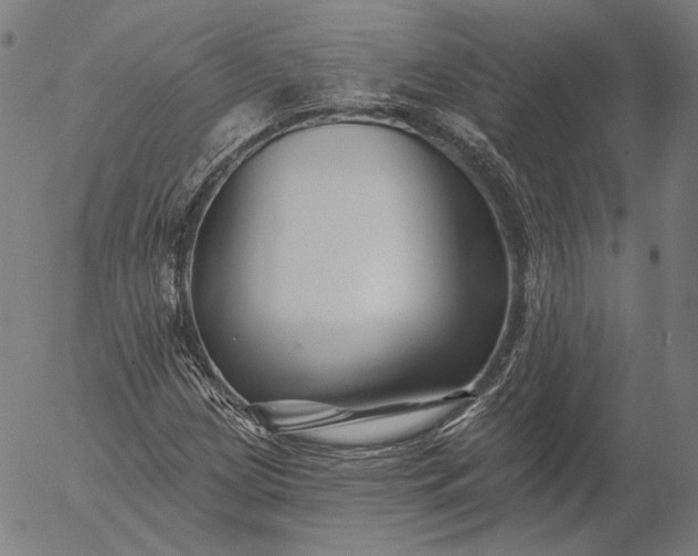 X0000055991209200509021629