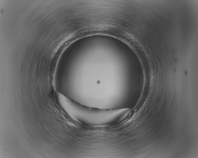 X0000055991210200509021629