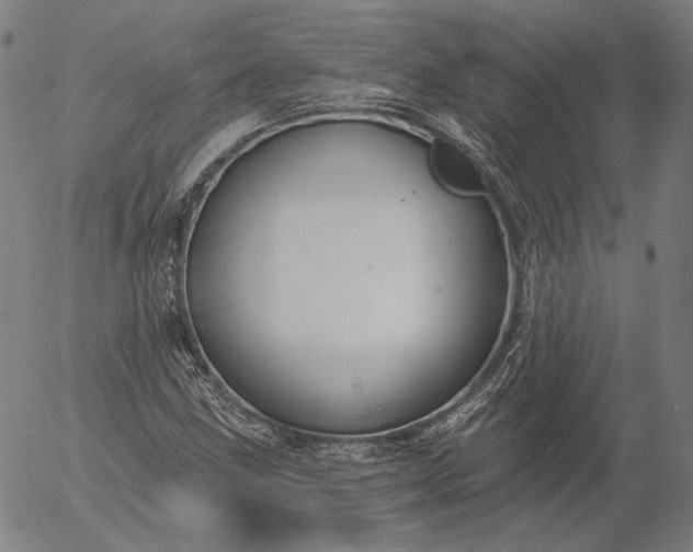 X0000055991211200509021629