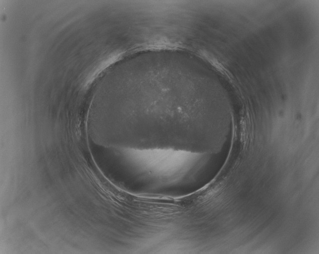 X0000055991213200509021629