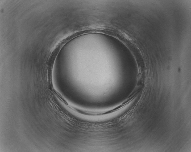 X0000055991214200509021629