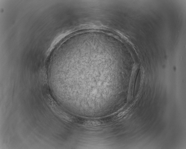 X0000055991215200509021629