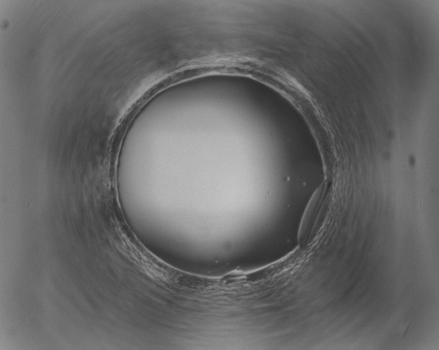 X0000055991216200509021629